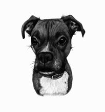 Load image into Gallery viewer, Black and white portrait with pets or animals - Drawing of a dog- drawings and portraits from your photos - drawking.com - DrawKing