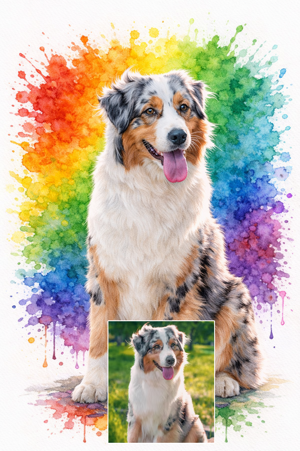 DrawKing rainbow colour bomb pet portrait of an Australian Shepherd dog