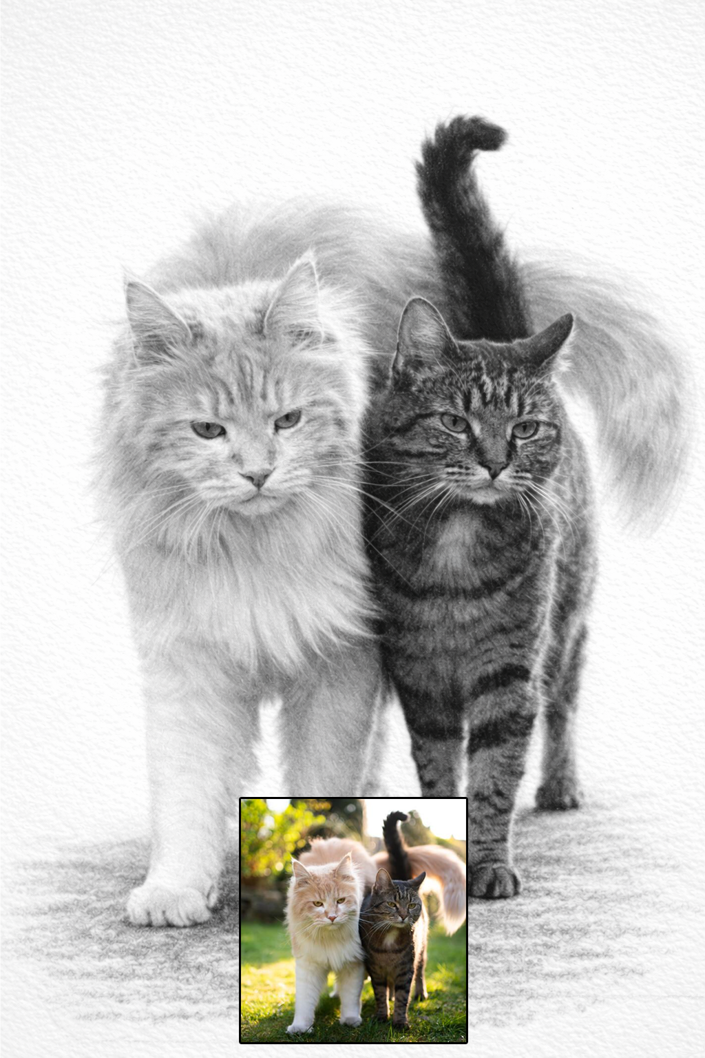 Pet portrait in pencil