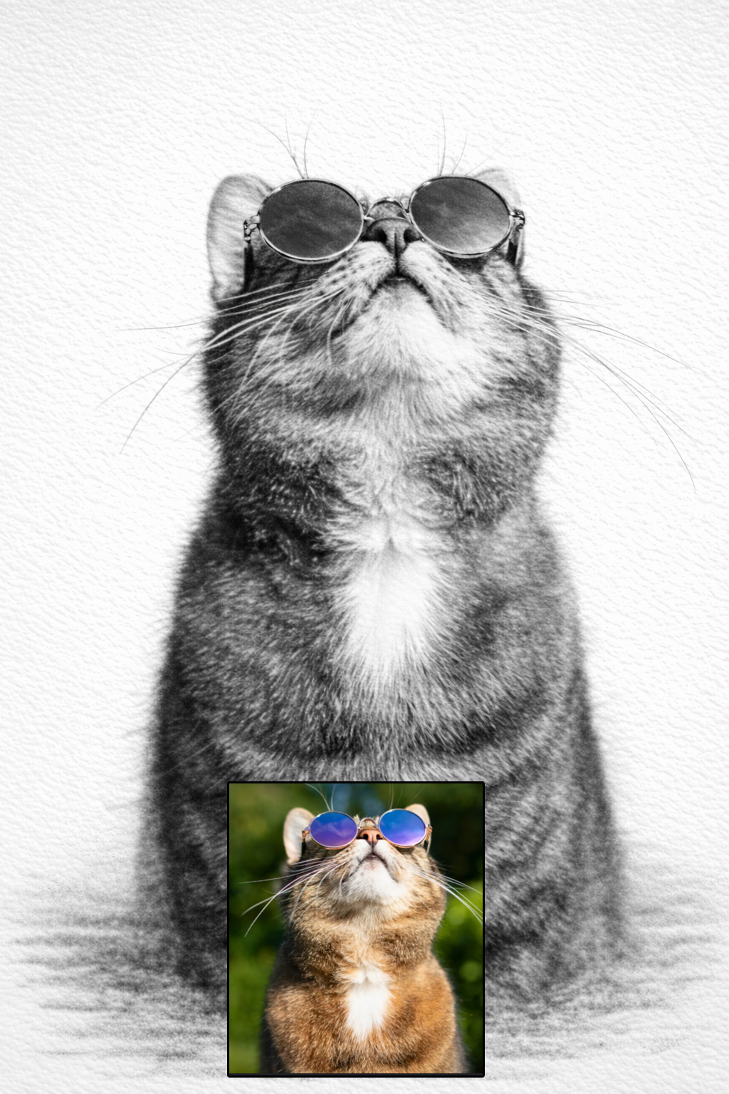 Pet portrait in pencil